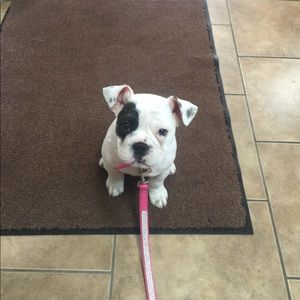 Meet your Posher, David